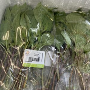 Thai2uk Sweet Basil 100g