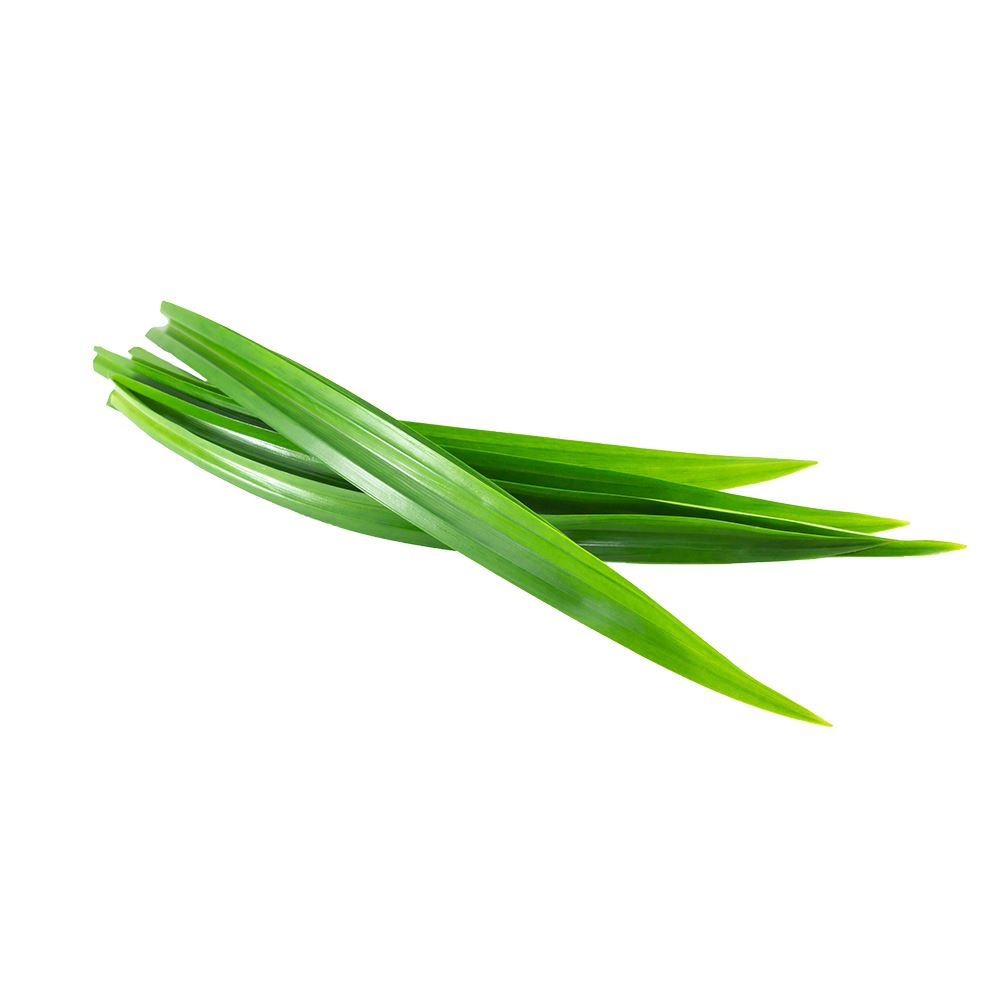 Pandan Leaves 100g