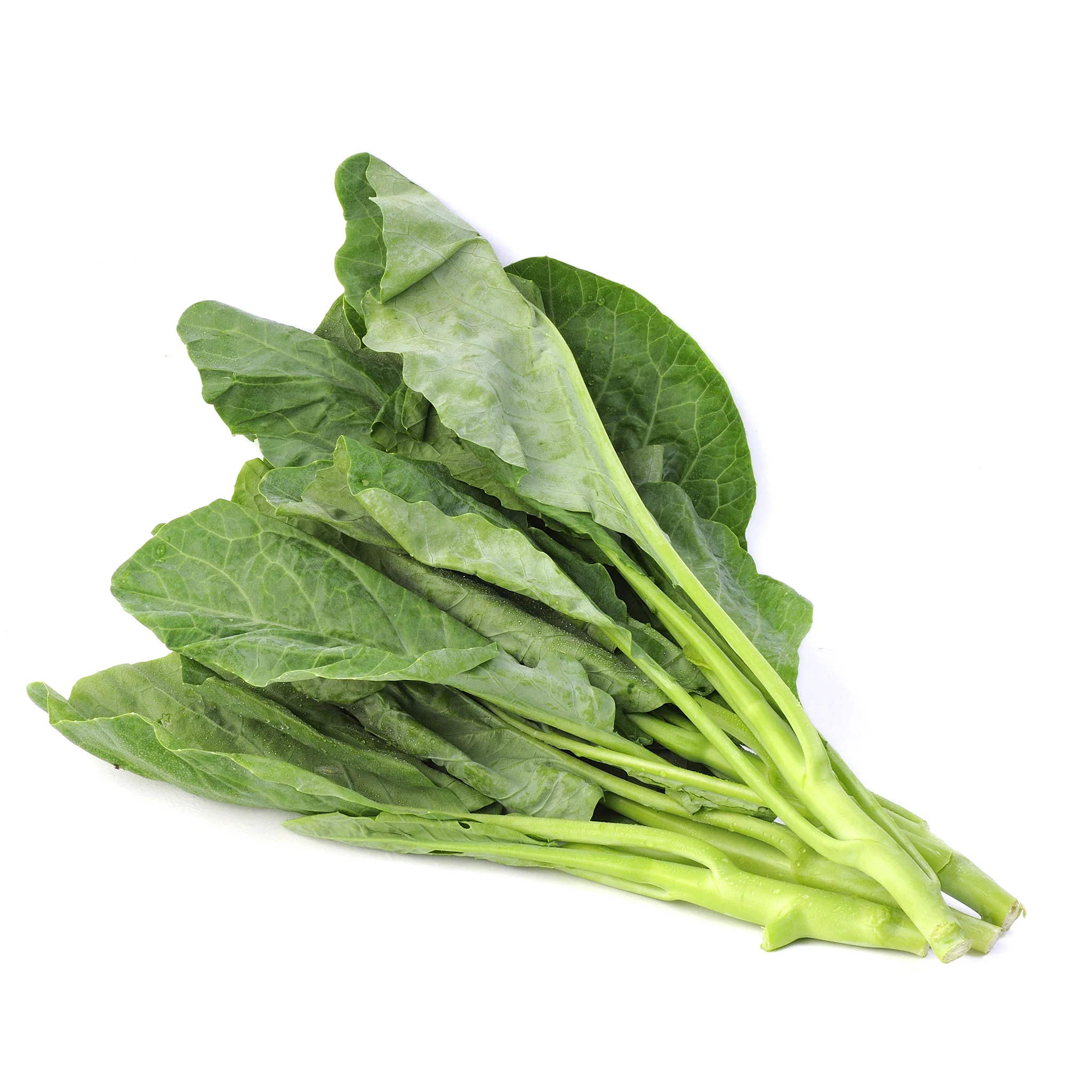 Young Kale 200g