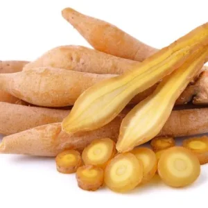 Fresh Thai-Import Kaempfer 100g