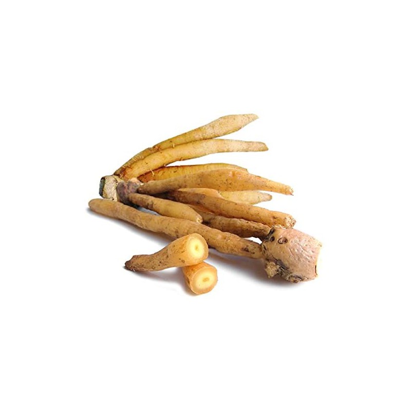 Fresh Krachai 100g
