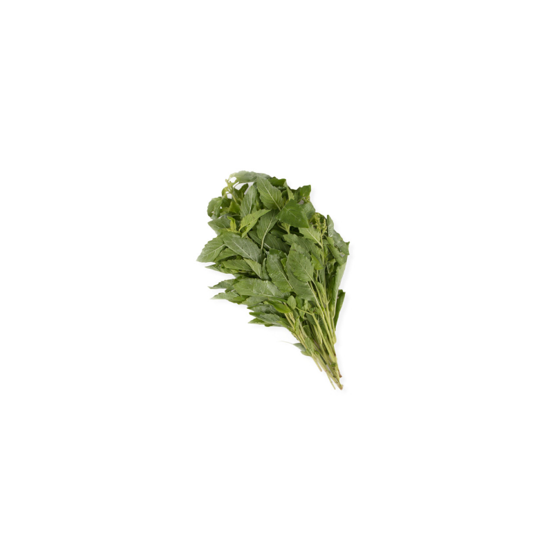 Holy Basil Leaf 100g