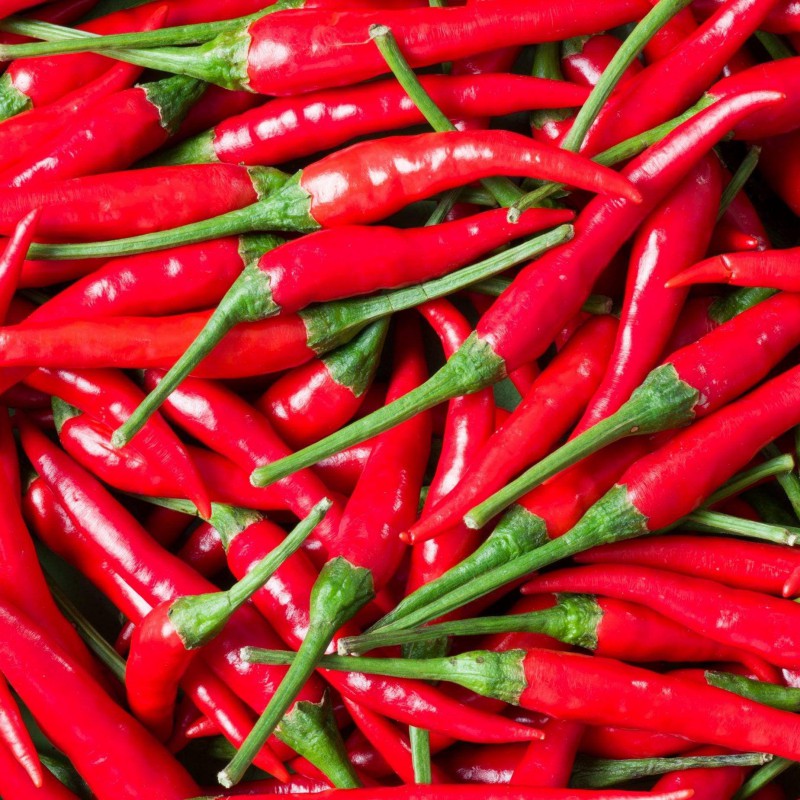 Red Chilli Small