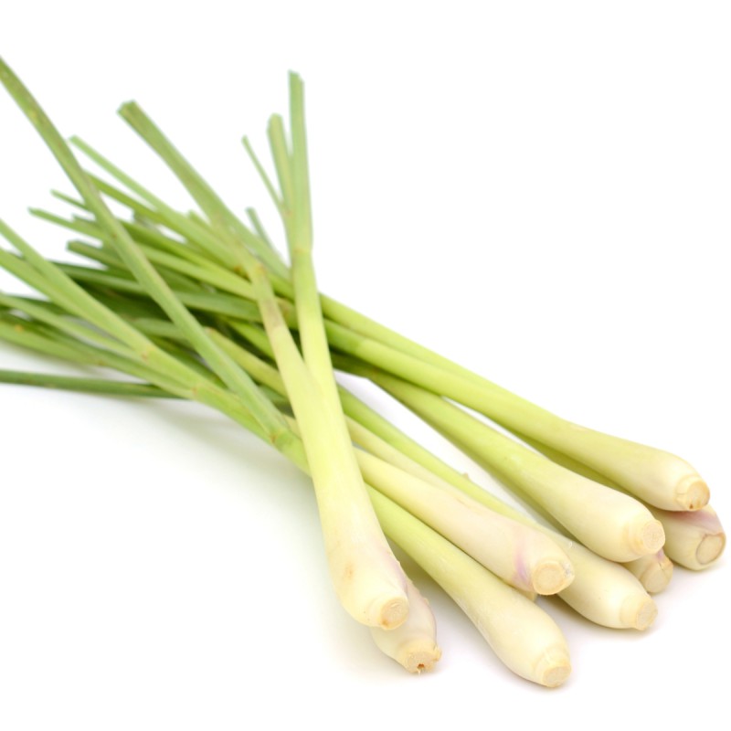 Lemon Grass 100g