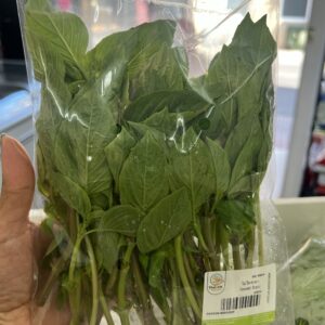 Fresh sweet basil