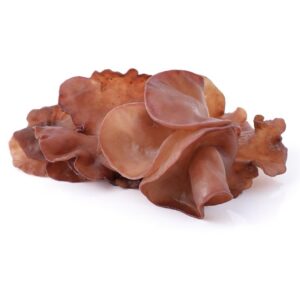 Jelly Mushroom