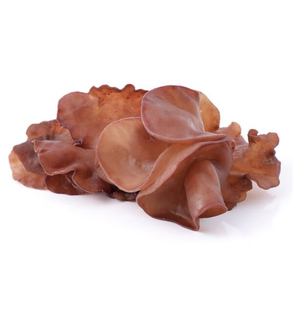 Jelly Mushroom