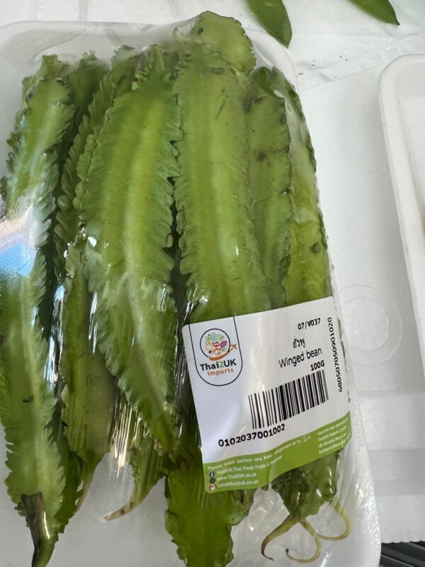 Winged bean