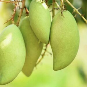 Sour green mango 200g